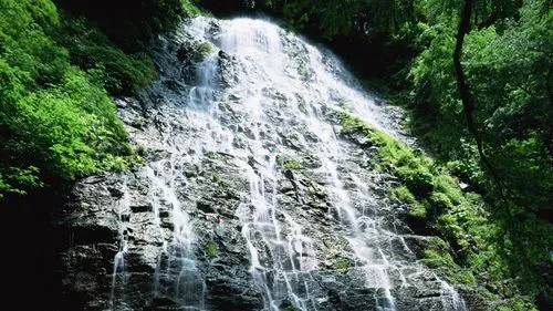 高端数字化